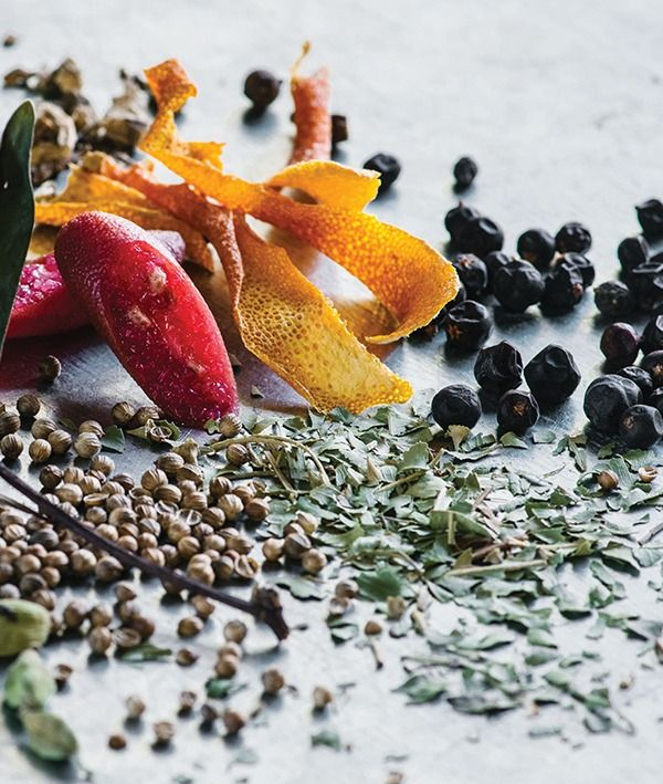 Gin Botanicals Explained