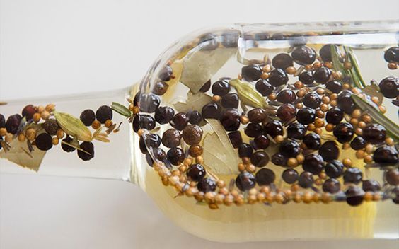 gin Botanicals explained