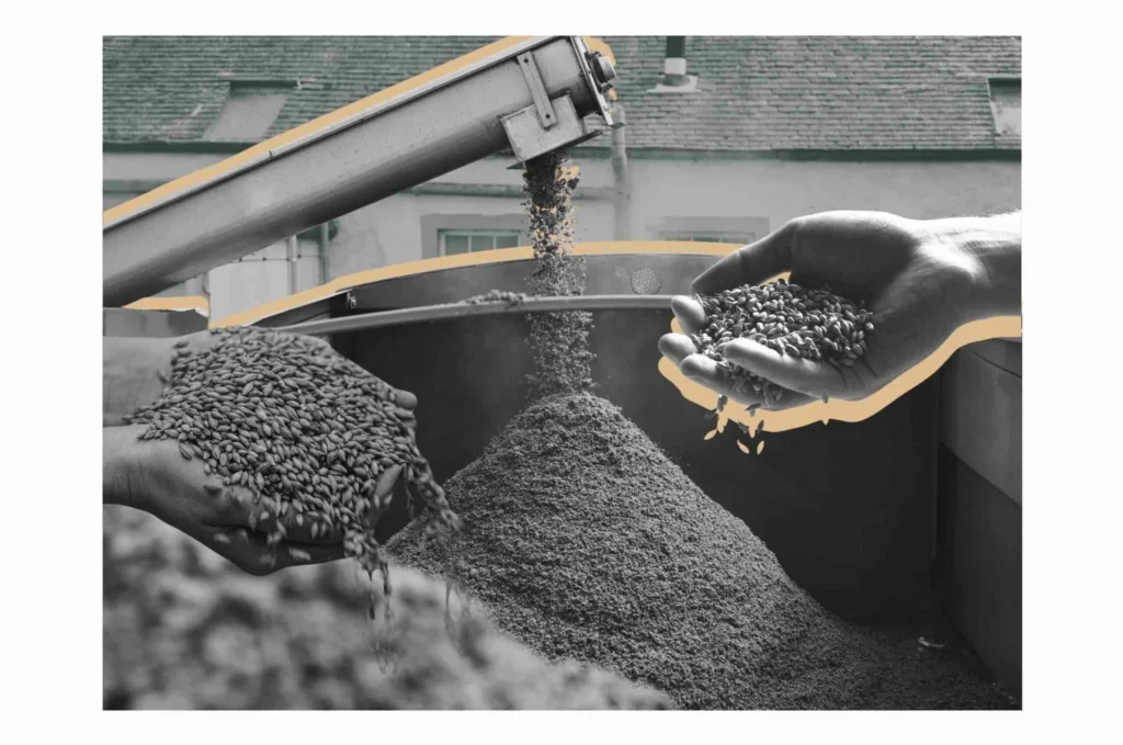 Whisky Manufacturing process