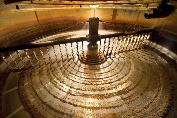 Whisky Manufacturing process