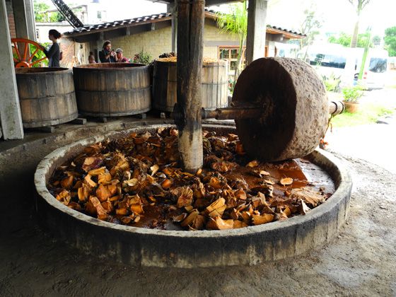 Tequila: Beginner's Guide